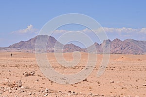 Stone Desert panorama Background in Namibia Africa