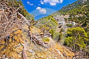 Stone desert trail near Pustinja Blaca hermitage on Brac island