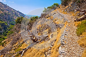 Stone desert trail near Pustinja Blaca hermitage on Brac island