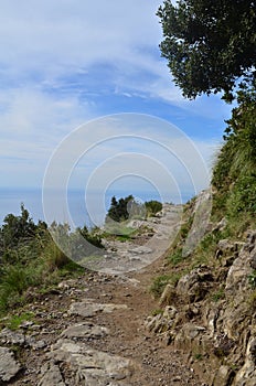 Stone and Dirt Hiking Trail Known as the Path of Gods