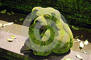 Stone dog statue