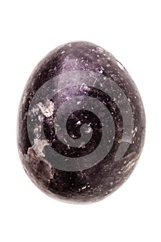 Stone dragon egg