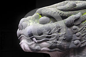 Stone dragon head black background chengdu china