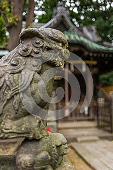 A stone dragon in a Shintoist shrine in Tokyo photo