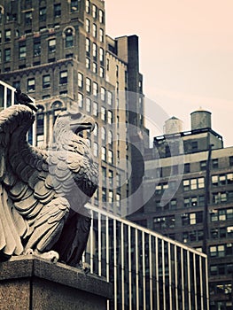 Stone Eagle in Manhattan