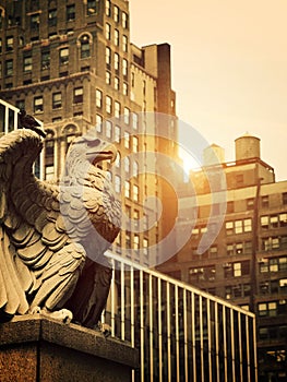 Stone Eagle in Manhattan