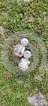 Stone ear rings on mosses