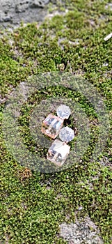 Stone ear rings on mosses