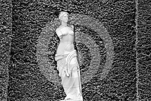 Stone effect Lady Figure Venus in the artificial greenery wall in a garden. Black and white