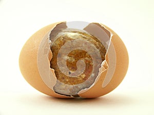 Stone egg and cracked shell