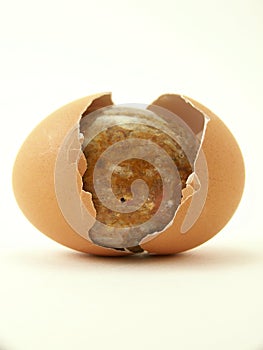 Stone egg and cracked shell
