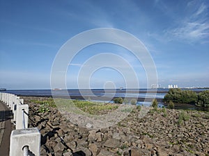 Stone embankment water recedes mangrove and the blue sky