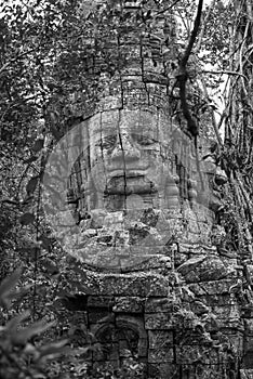 Stone face at Bayon temple, Angkor Wat, Cambodia