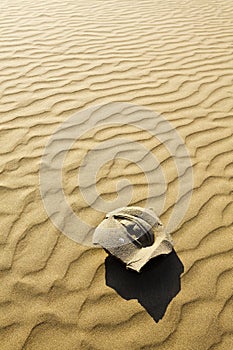 Stone face on desert