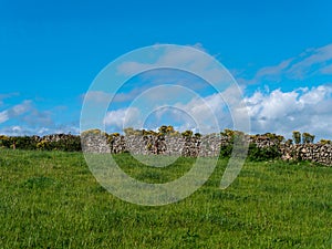 A stone fence on a farmfield in Ireland in summer. Blue sky over a green field, Irish landscape. Green grass field under blue sky