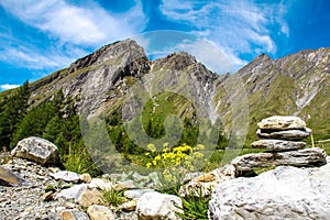 Stone figure in the Alps
