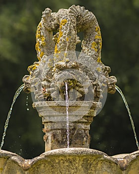 Stone fish fountain