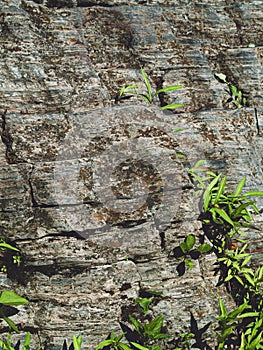 Stone Fissure Background