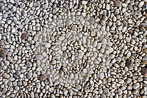 Stone Floor