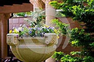 Stone Flower container with pansies flowers