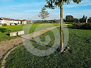 Stone footpath on a summer day