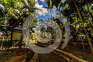 Stone footpath surrounded by palm trees in Altos de Chavon village, Dominican republic