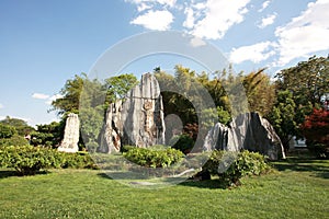 stone forest