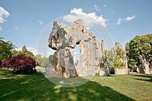 stone forest