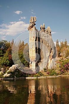 stone forest