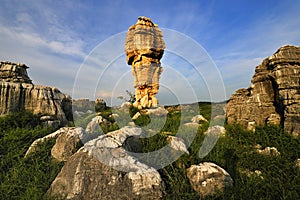 Stone Forest