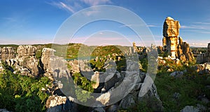 Stone Forest