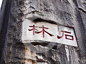 The Stone Forest