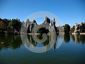 Stone forest