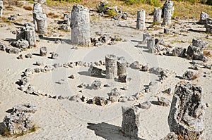 Stone Forest