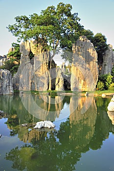 Stone forest