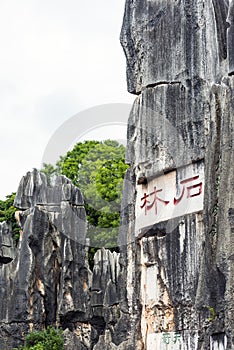 The stone forest