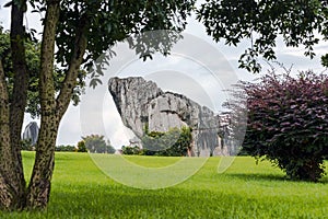 The stone forest