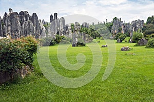 The stone forest