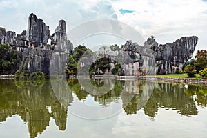 The stone forest