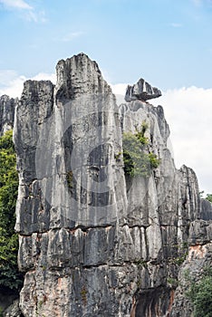 The stone forest