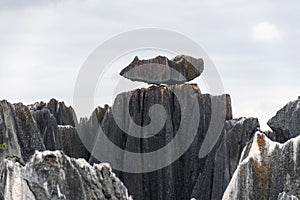 The stone forest