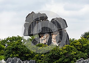 The stone forest
