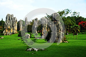 Stone Forest, China