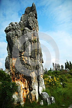 Stone Forest China