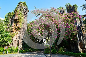 The stone forest and flowers