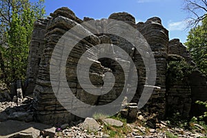 Stone Forest, Monodendri