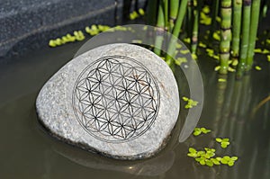 Stone in a forest with moss, sunlight with symbol Flower of Life