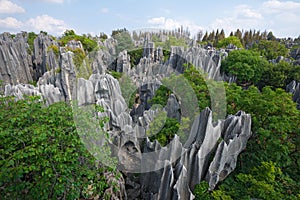 Stone Forest National Park