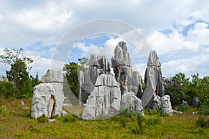 Stone Forest National Park in China