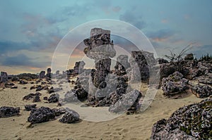 Stone Forest Near Varna, Bulgaria